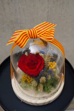 Cargar imagen en el visor de la galería, Rosa Preservada Eterna - Gran