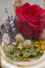 Cargar imagen en el visor de la galería, Rosa Preservada Eterna - Gran