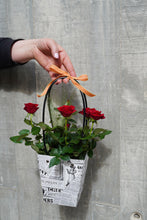 Cargar imagen en el visor de la galería, Rosal Pitiminí en Bolso
