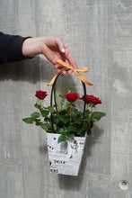 Cargar imagen en el visor de la galería, Rosal Pitiminí en Bolso