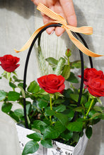 Cargar imagen en el visor de la galería, Rosal Pitiminí en Bolso