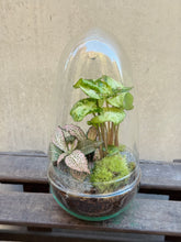 Cargar imagen en el visor de la galería, Jardín Eterno