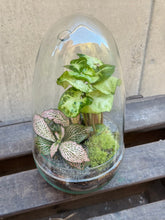 Cargar imagen en el visor de la galería, Jardín Eterno