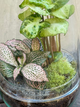 Cargar imagen en el visor de la galería, Jardín Eterno