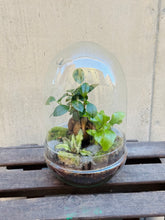 Cargar imagen en el visor de la galería, Jardín Eterno