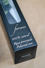 Cargar imagen en el visor de la galería, Rosa Eterna Estoig