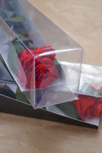Cargar imagen en el visor de la galería, Rosa Eterna Estoig