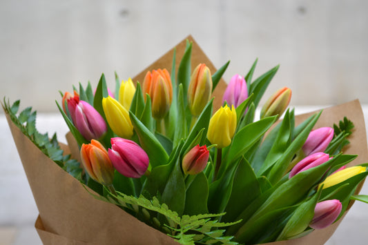 Ram Tulipes - Amsterdam