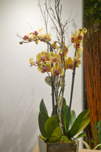 Cargar imagen en el visor de la galería, Centro cristal con orquídeas