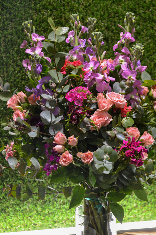 Ram Wild Bloom