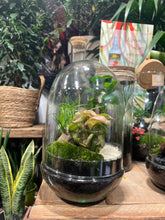 Cargar imagen en el visor de la galería, Jardín Eterno