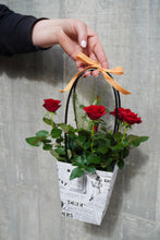 Cargar imagen en el visor de la galería, Rosal Pitiminí en Bolso
