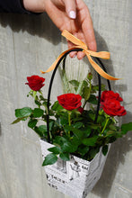 Cargar imagen en el visor de la galería, Rosal Pitiminí en Bolso
