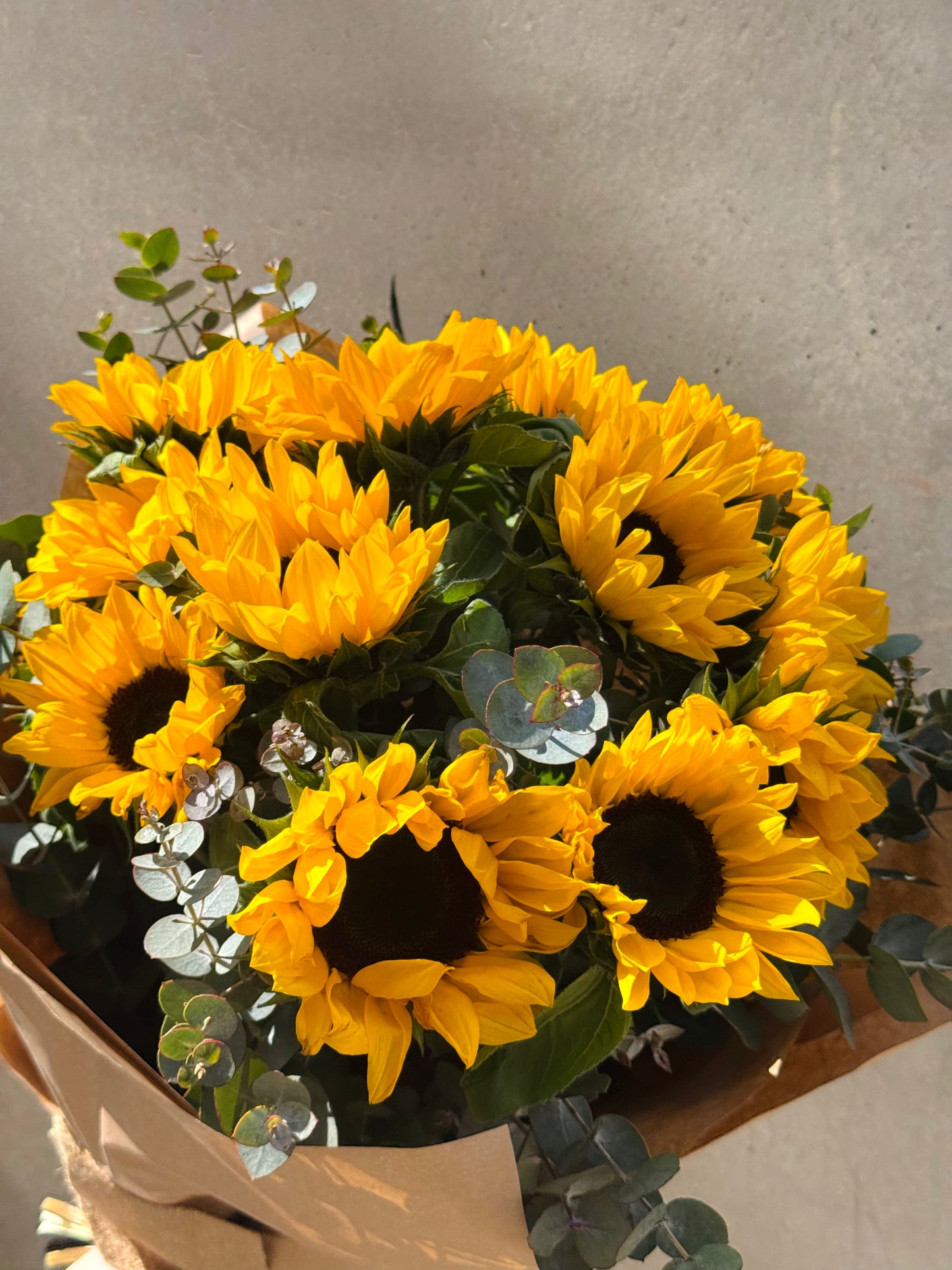 Ram Girasols - Toscana