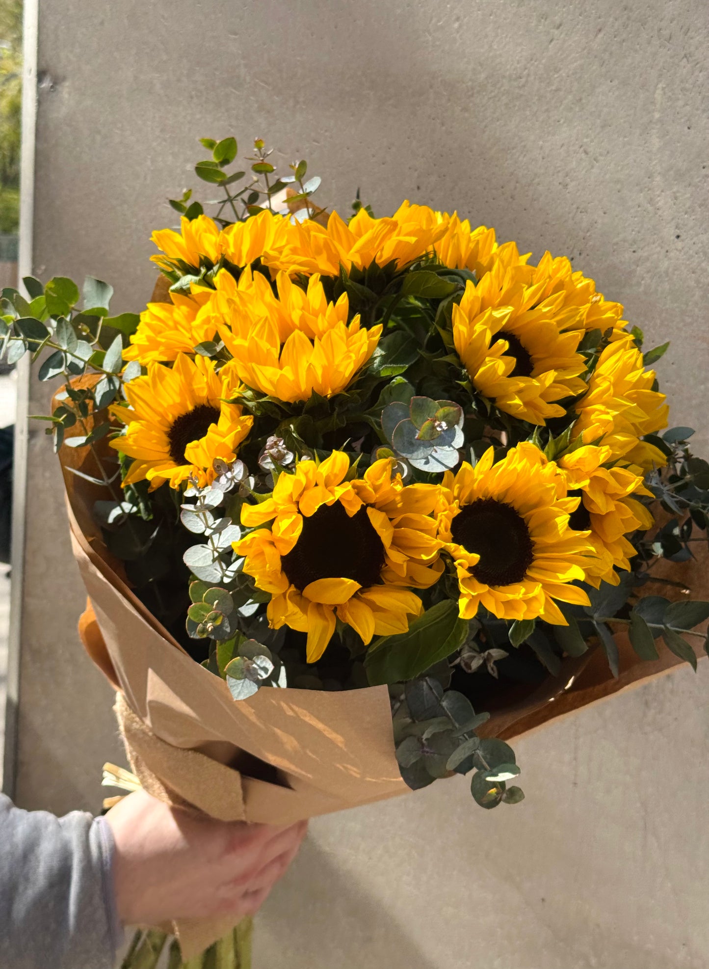 Ram Girasols - Toscana