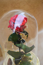 Cargar imagen en el visor de la galería, Rosa en cúpula de cristal - Tamaño Grande
