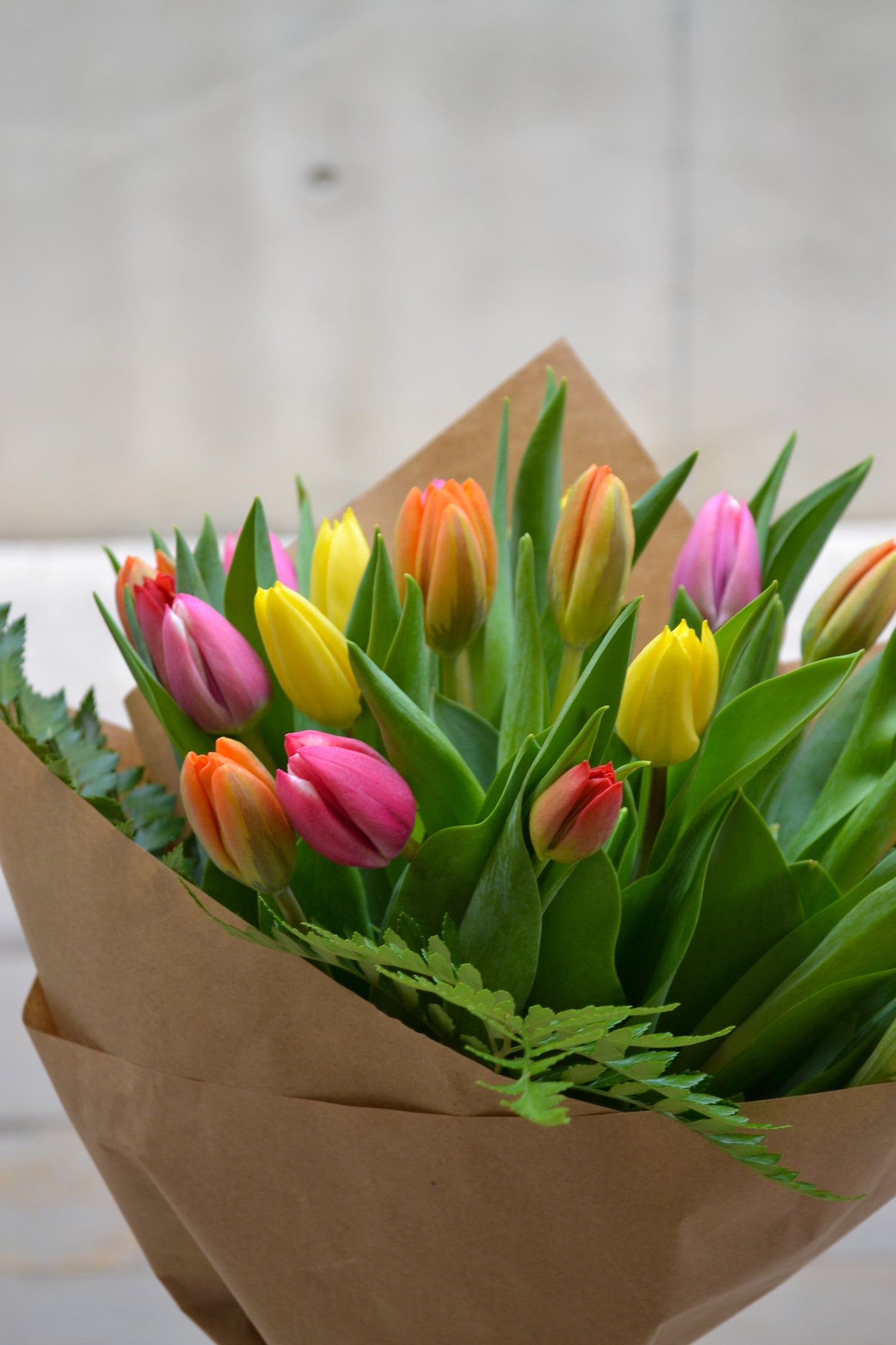 Ram Tulipes - Amsterdam