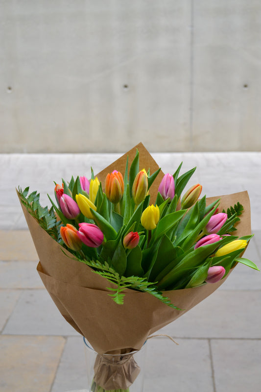 Ram Tulipes - Amsterdam