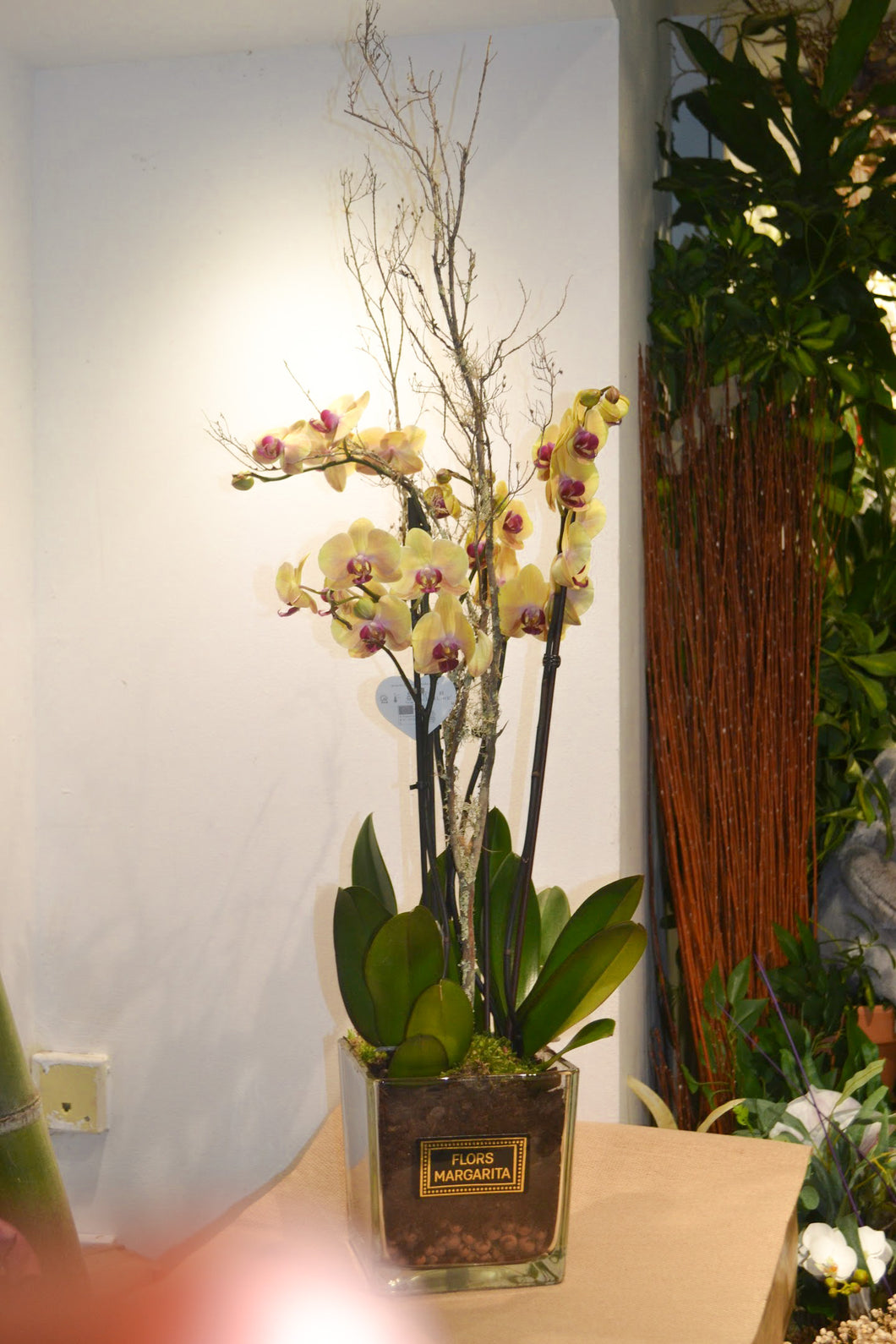 Centro cristal con orquídeas